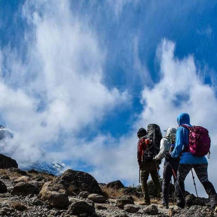 7-Day Kilimanjaro Trekking Expedition Price Machame